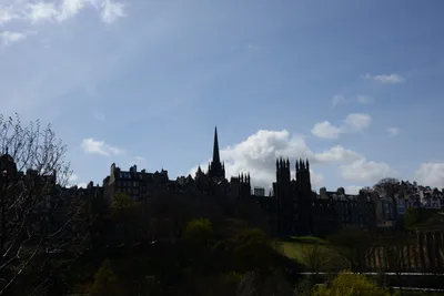 DSC_7333 (Large).JPG